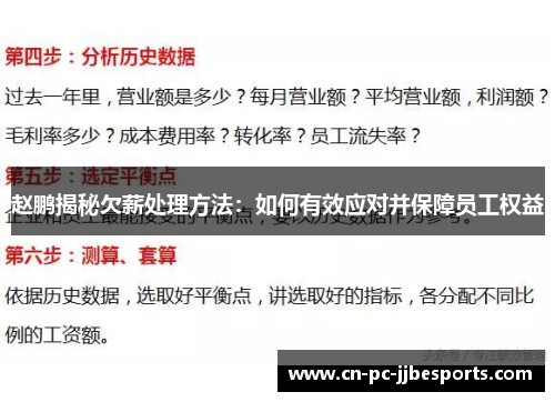 赵鹏揭秘欠薪处理方法：如何有效应对并保障员工权益