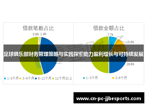 足球俱乐部财务管理策略与实践探索助力盈利增长与可持续发展
