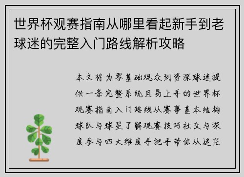 世界杯观赛指南从哪里看起新手到老球迷的完整入门路线解析攻略